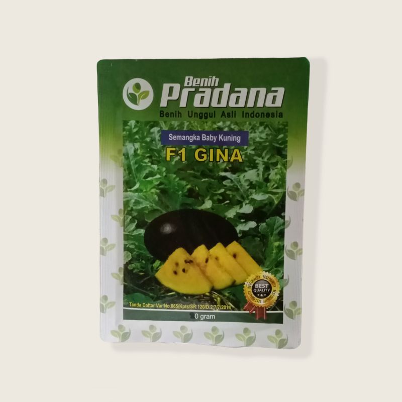 Benih semangka Inul kuning