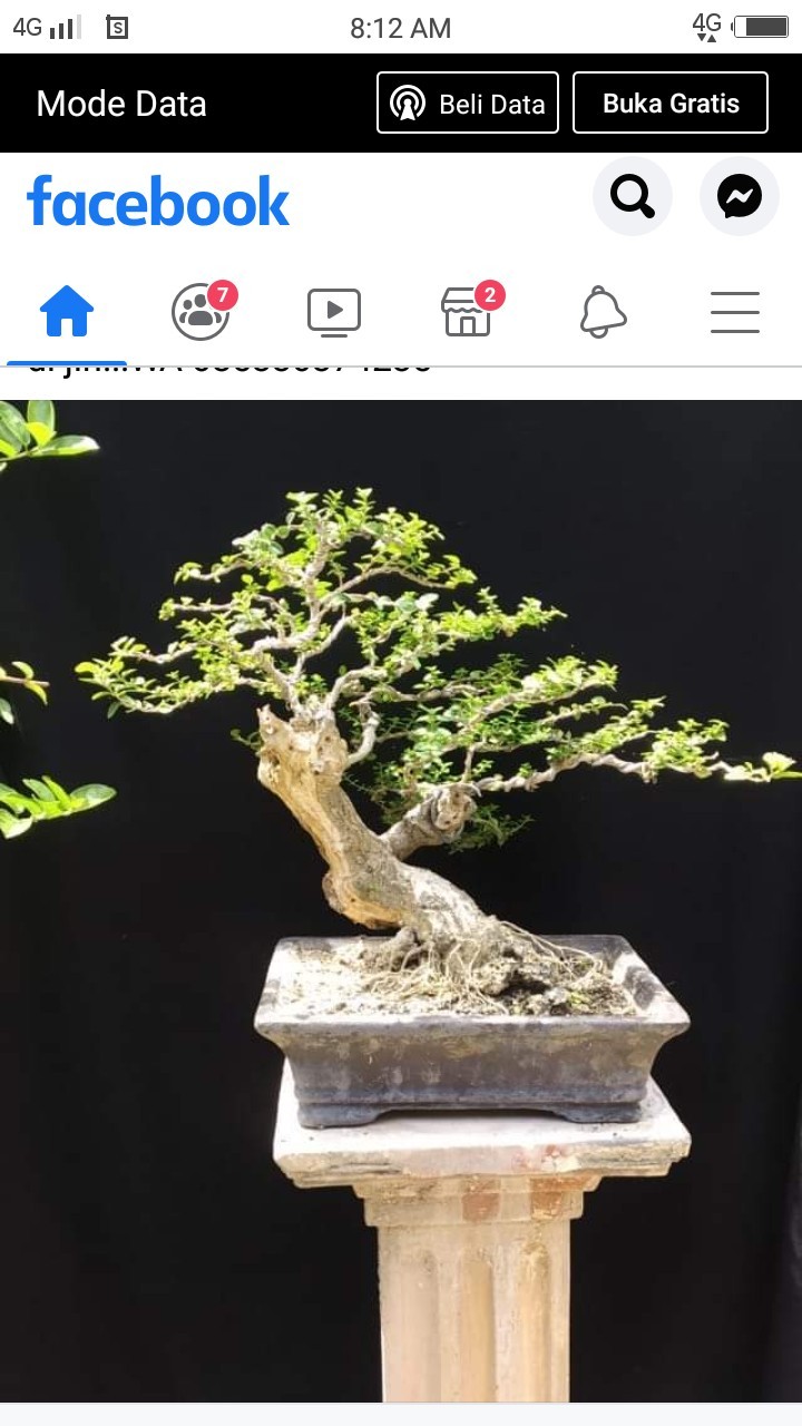 Kawat Bonsai Putih Ecer Per Meter 3 Mm