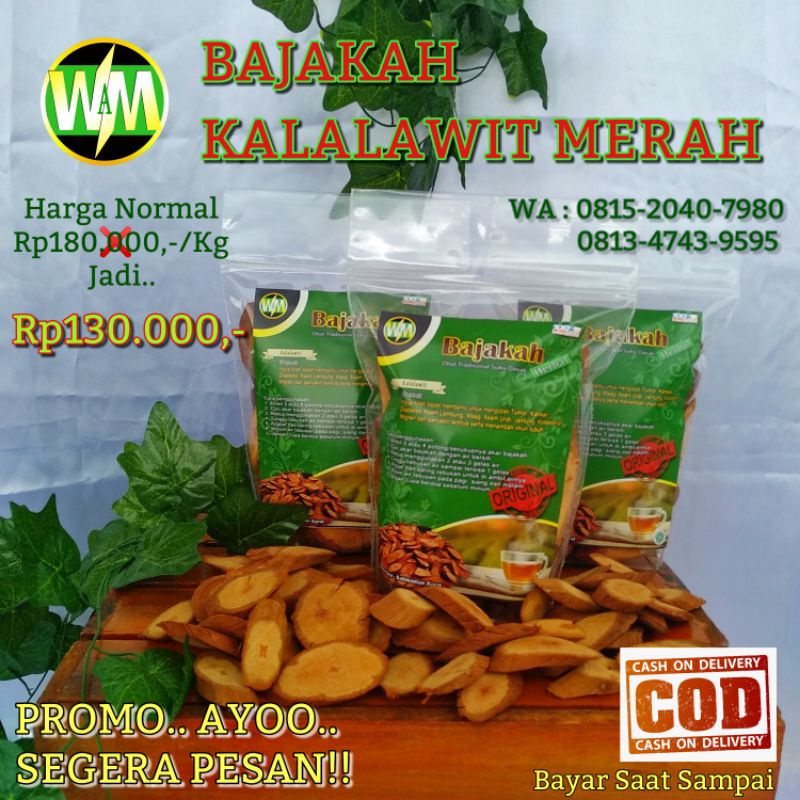 

PROMO BAJAKAH KALALAWIT MERAH