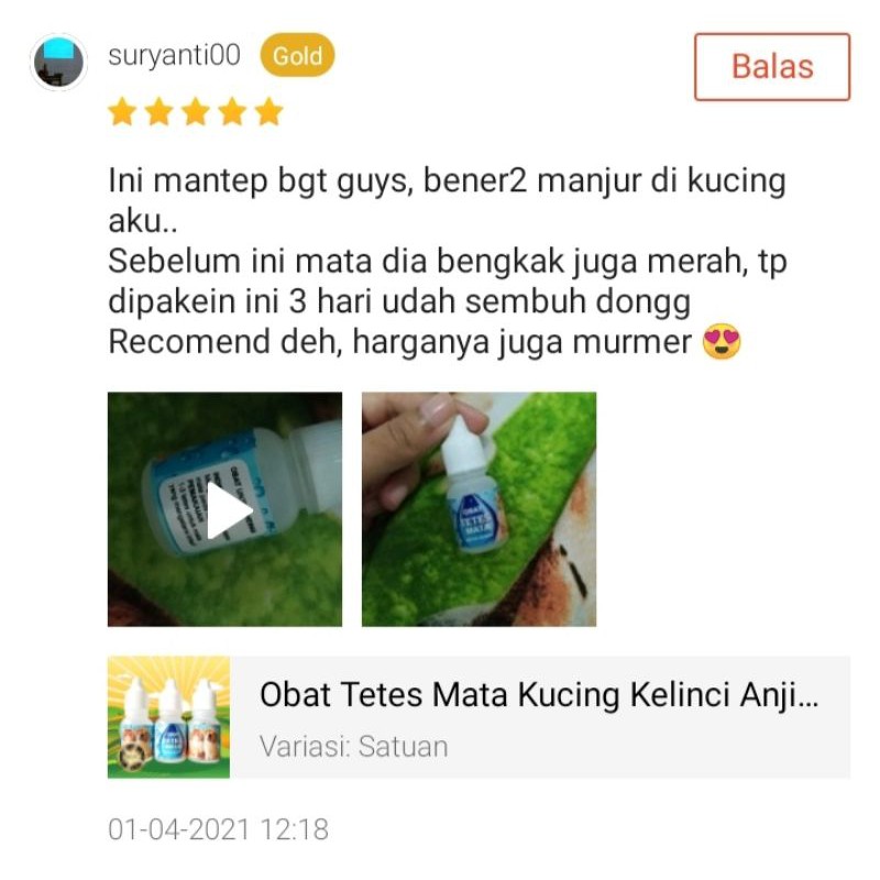 Obat Tetes Mata Kucing Kitten Kelinci Anjing Anti Iritasi Kucing Obat Belekan