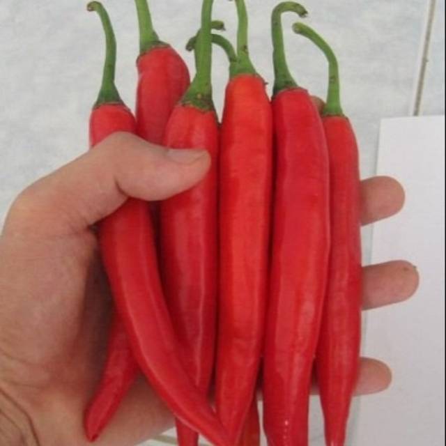 

Cabai merah TW/besar 250 gram