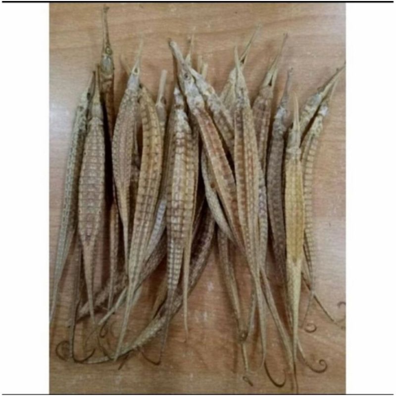 100 G GR GRAM HAI LONG NAGA LAUT KERING DRIED SEA DRAGON STAMINA PRIA ELANG KEJANTANAN