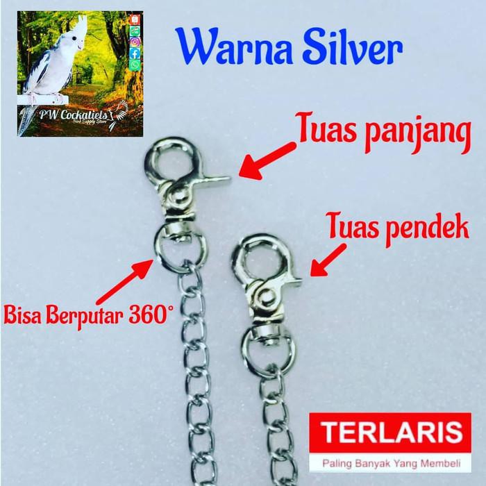 Terbatas - Rantai Burung Sunconure Betet Nuri Pelangi Redlory - Silver