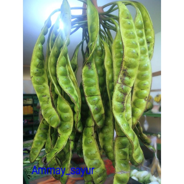 

pete satuan/perpapan/Ammay_sayur
