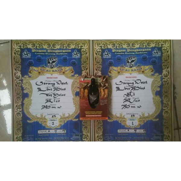 DOPING LOVEBIRD KONSLET Perangsang ngekek full