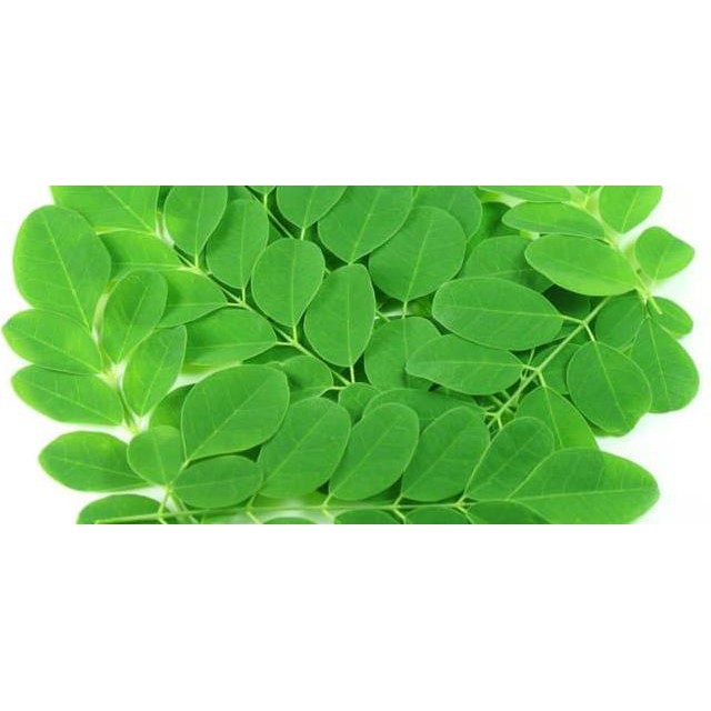 

Sale!! Promo Daun Kelor Segar Langsung Petik Terbaru