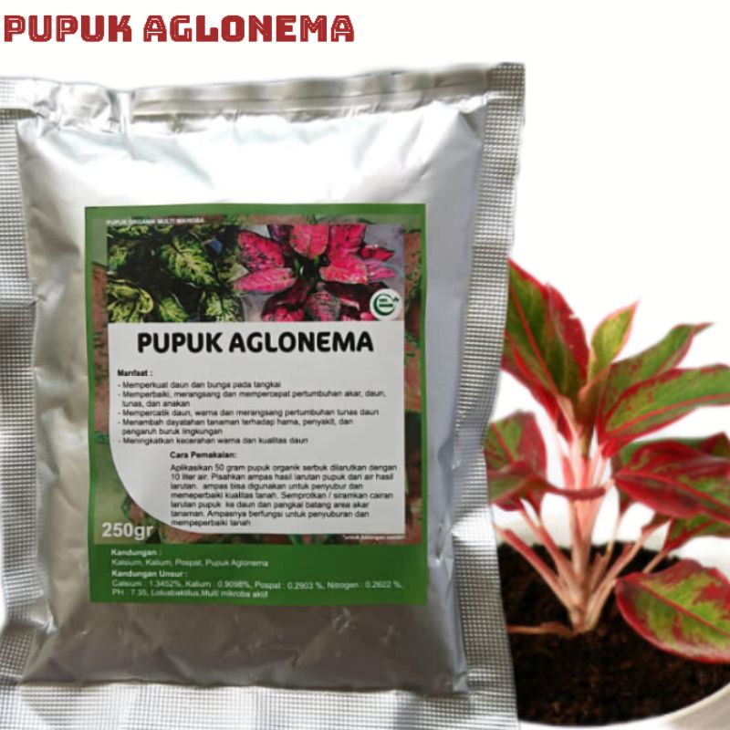Pupuk Organik Multimikroba Tanaman Hias Aglonema Terbaik Penumbuh Daun dan Bunga Agar Cepat Beranak 