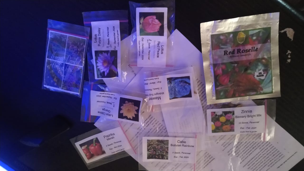 Benih Biji Zinnia Binnary Bright Mix Fullcolour Warna Warni 10 Seed