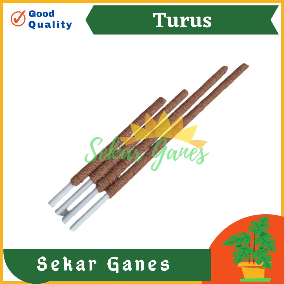 Turus Pipa Ulir 50 60 80 90 Cm Turus Sabut Kelapa Penyangga Tanaman Rambat 100cm Bkn Turus Lumut