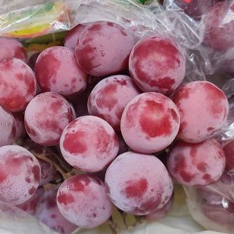 

BUAH ANGGUR RED GLOBE CHILI FRESH IMPORT SATU BOK