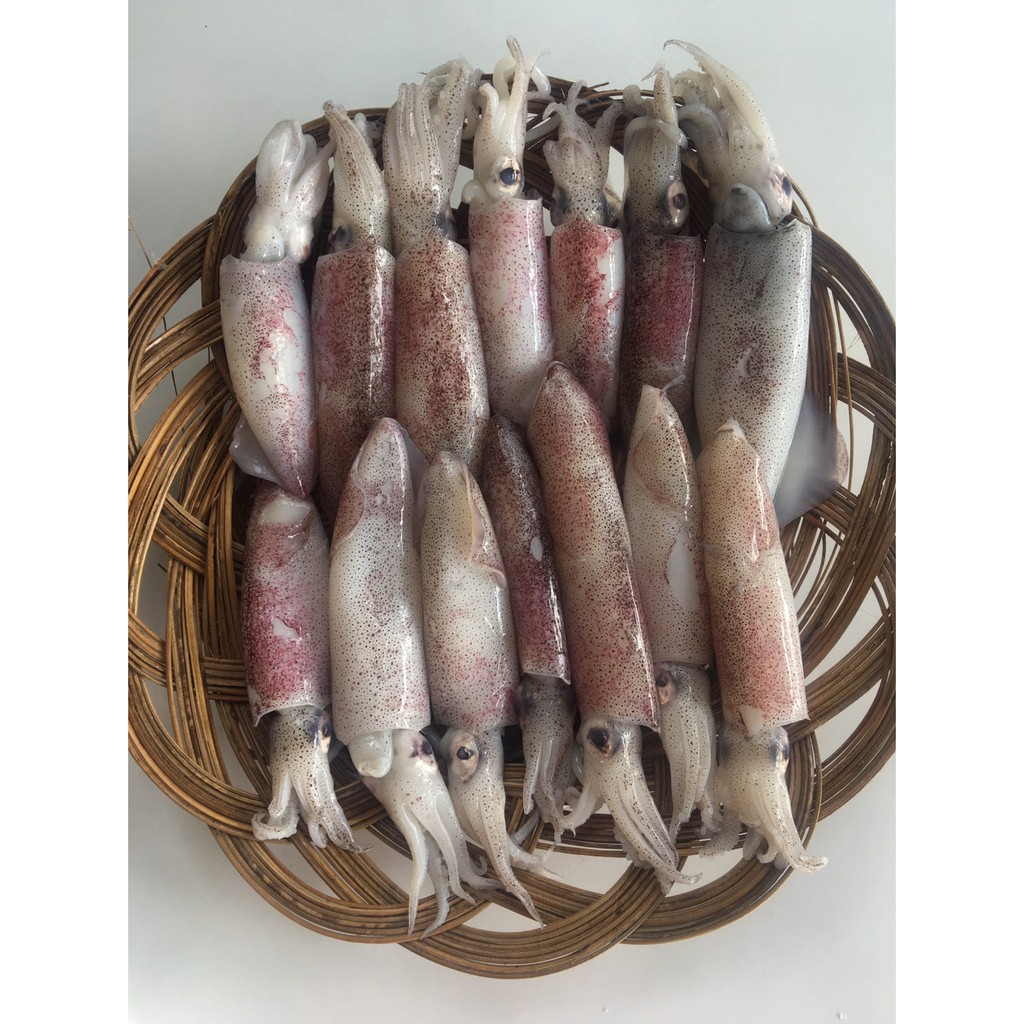 

Ikan Cumi Kecil/Cumi Sero 250 Gram