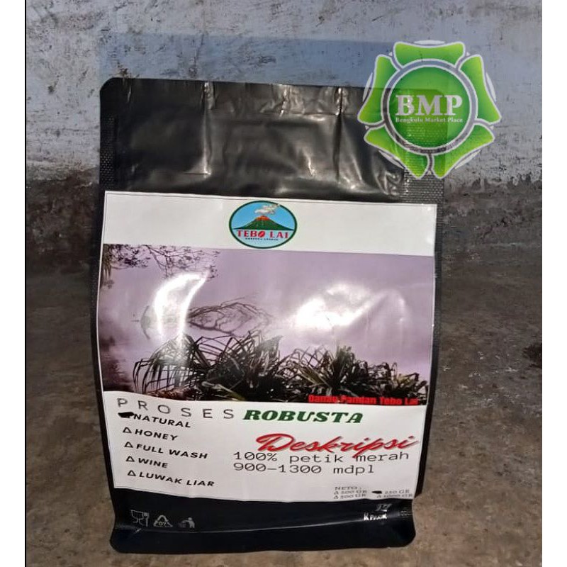

ROBUSTA TEBO LAI LEBONG