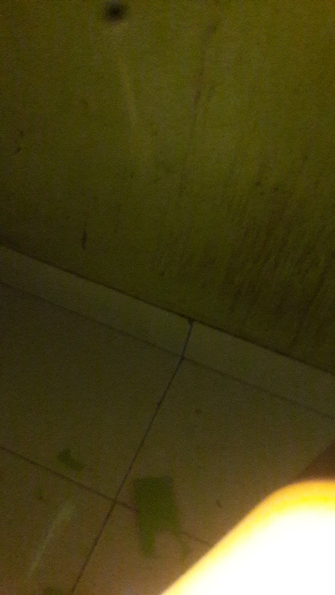 Amplas Bulat Velcro 4 Grit 60 80 100  120 150 180 220 240  400