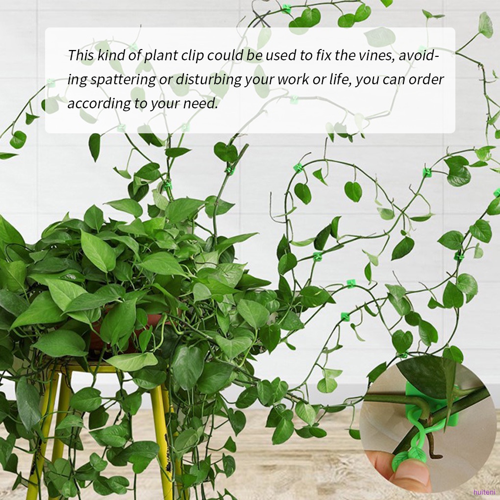 10pcs Plant Clips Plastic Fixed Plant Buckles Self Adhesive Vine Tied Fastener Hooks, S huiteni.id