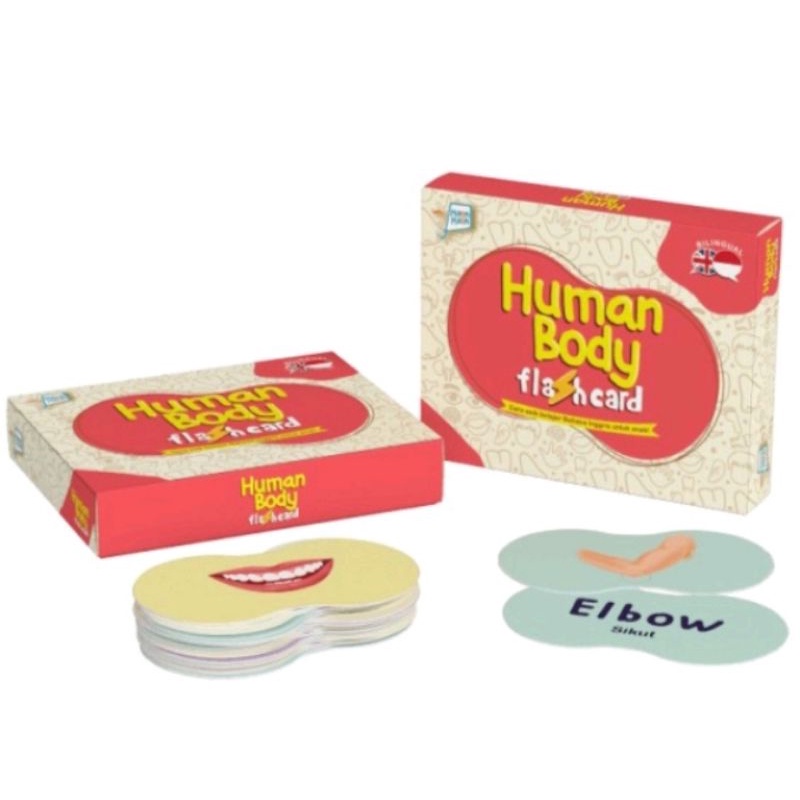 Flashcard Human Body / Kartu kata Edukasi Bagian Tubuh Inggris-Indonesia