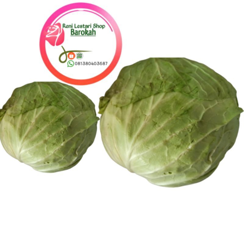 

Sayur segar Kol