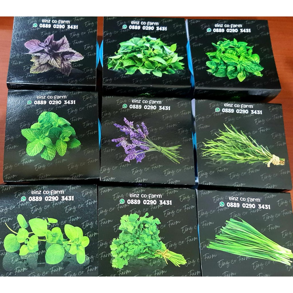 PAKET BERKEBUN TANAMAN HERBAL BONUS POT DAN BENIH BY EINZ CO FARM