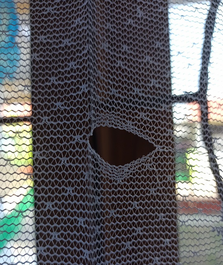 Gorden Vitrase Daleman  Tipis Trsanparan Motif Bunga Gorden Siang Gorden Jendela Gorden Pintu  Kamar