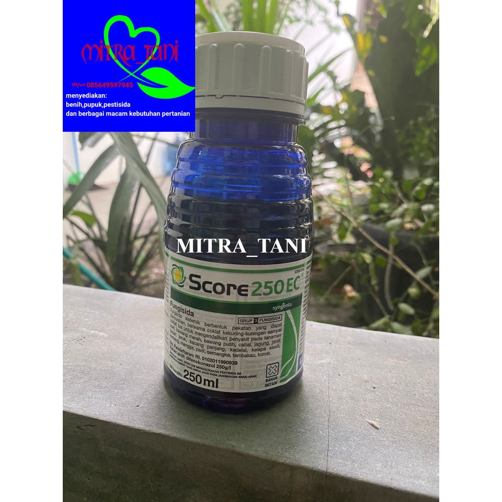 fungisida difekonazol SCORE 250EC 250ml dari SYNGENTA