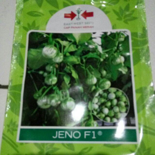 Benih Terong Bulat Hijau Jeno 400 Butir