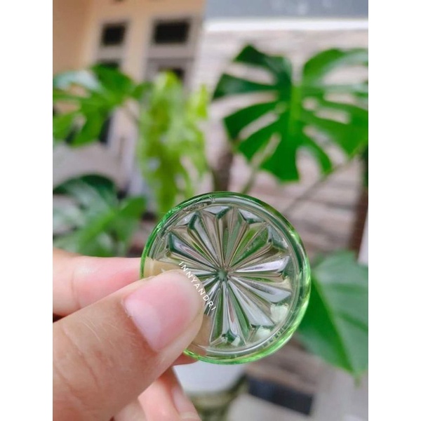 [ Original 100% ] Bioglass mini|Bioglass mci