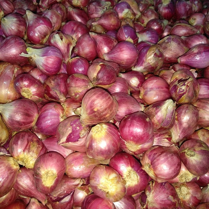 

Bawang Merah Super 250gr