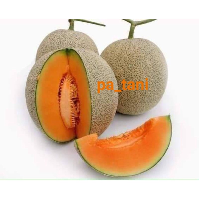 

MELON ORANGE