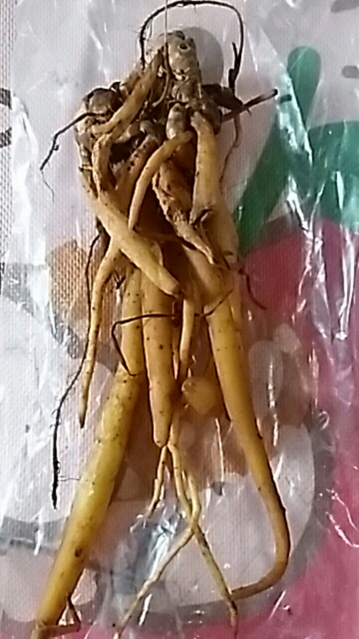 Temu Kunci Segar Basah