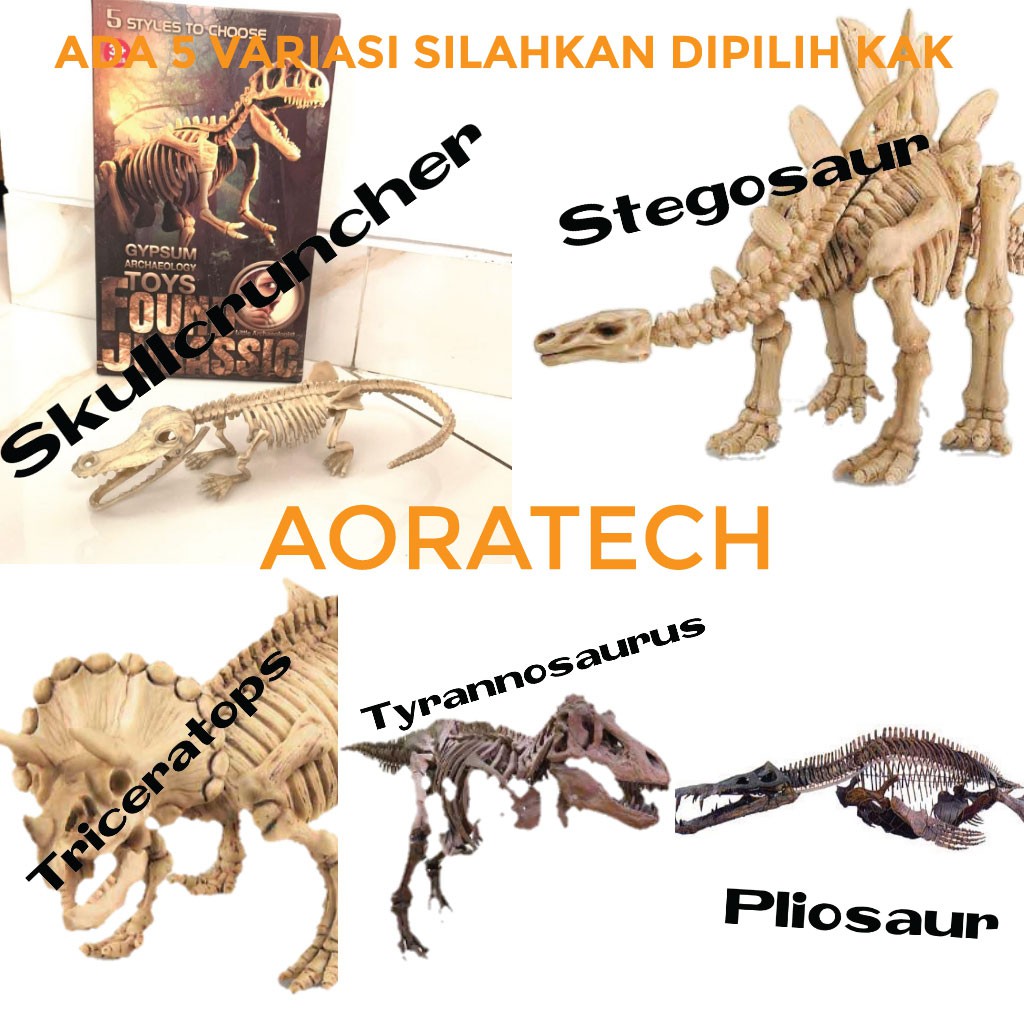 Mainan edukasi anak fosil dinosaurus / gypsum archaeology toys / fosil tengkorak dinosaurus