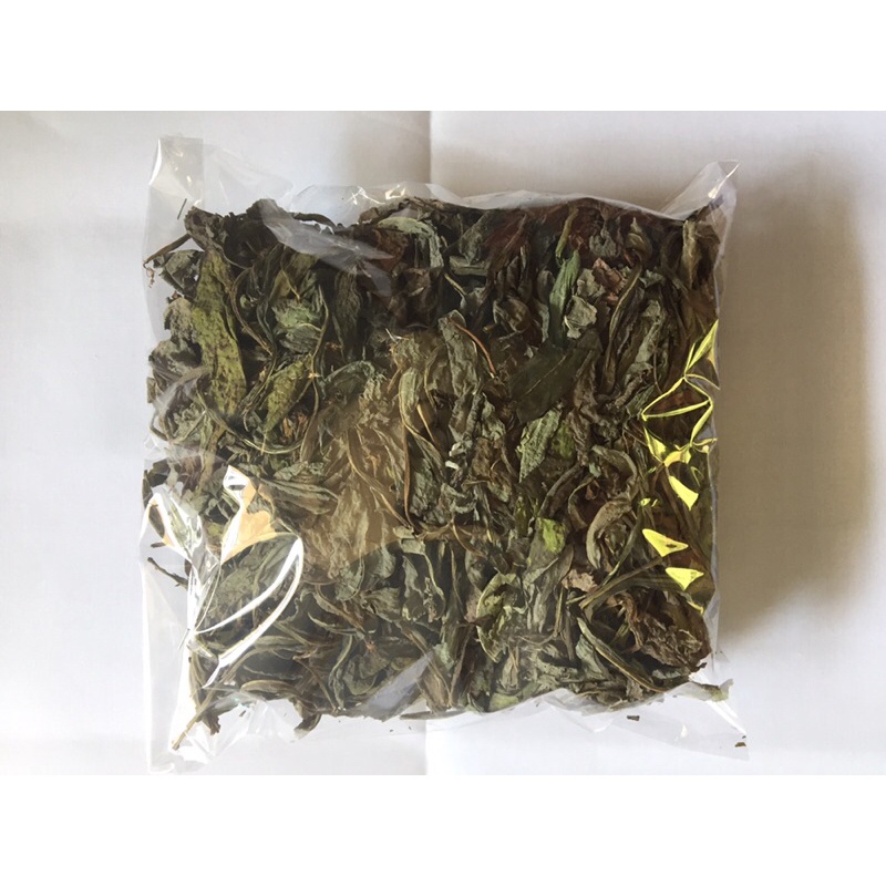 

tempuyung kering herbal