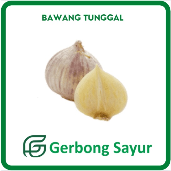 

Bawang Tunggal / Bawang Lanang Segar - 250 g
