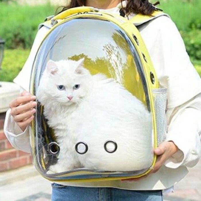 Tas Astronot Kucing Anjing Ransel Pet Carrier Travel Hewan Peliharaan