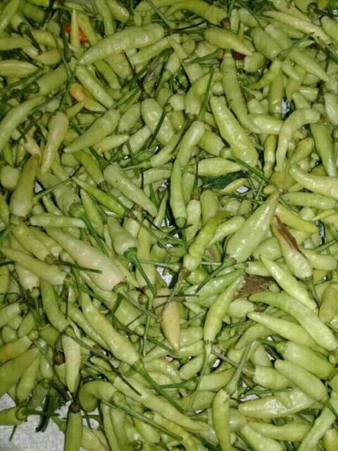 Baju Batik Keluarga Seno Putih Batik Couple Keluarga Gamis 2 Cewek Dan Cowok Anak Terbaru