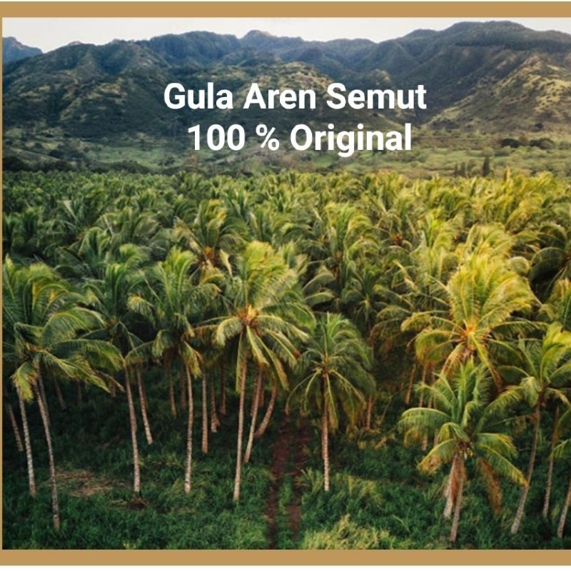 

Palm Sugar / Gula Aren Semut Asli (1 kg )