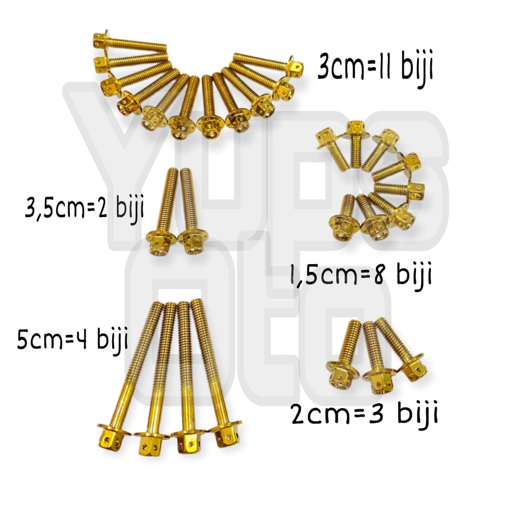 BAUT PROBOLT BLOK BLOCK NINJA GOLD FLOWER KUNCI T BAUT BLOK MESIN NINJA FLOWER FULL SET 28 BIJI BAUT PROBOLT MESIN NINJA R RR IMPORT THAILAND BAUT PROBOLT BLOK MESIN KAWASAKI NINJA R NINJA RR KAWASAKI NINJA BAUT BAK KALTER MESIN BAUT CVT KANAN KIRI FULL