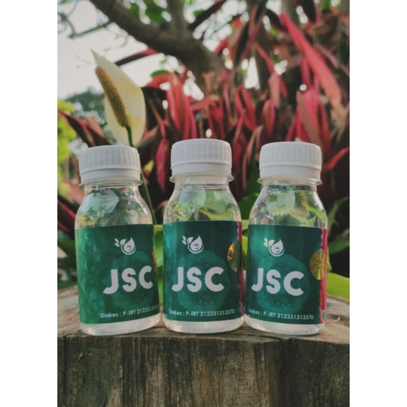 Jsc Stem Cell