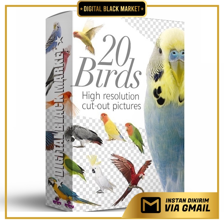 Birds High Res Pictures - JPEG Ultra HD