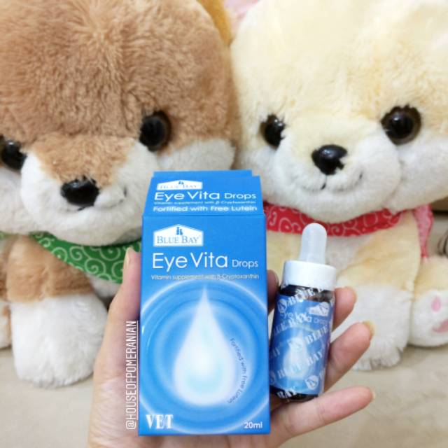 Dog puppy tear stain remover eye vita blue bay. Vitamin mata anjing