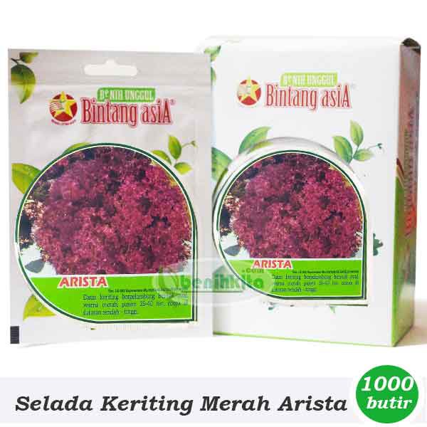 Benih-Bibit Selada Keriting Merah Arista (Bintang Asia)