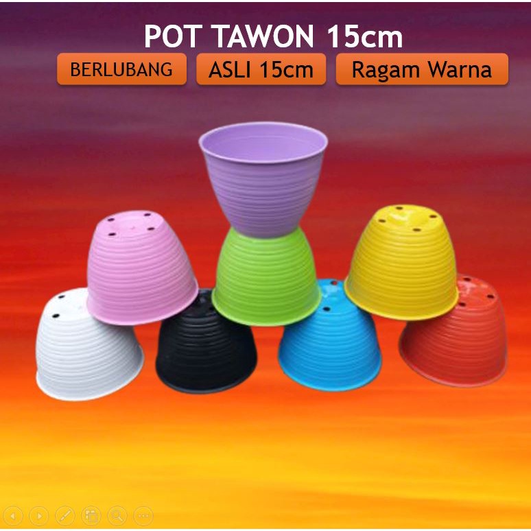 POT TAWON 15 ASLI 15CM PUTIH WARNA