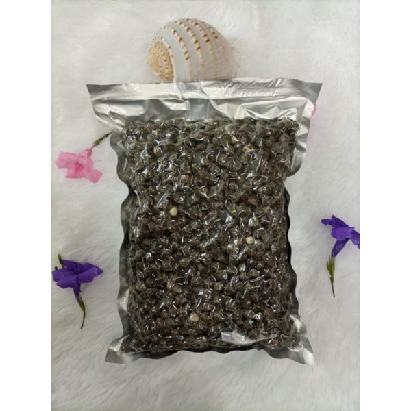 

buah biji kelor kering 99/%500 gr