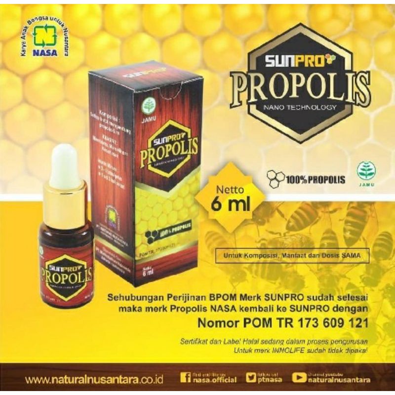 NANO PROPOLIS NASA