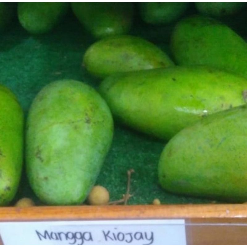 

Mangga Kiojay Thailand