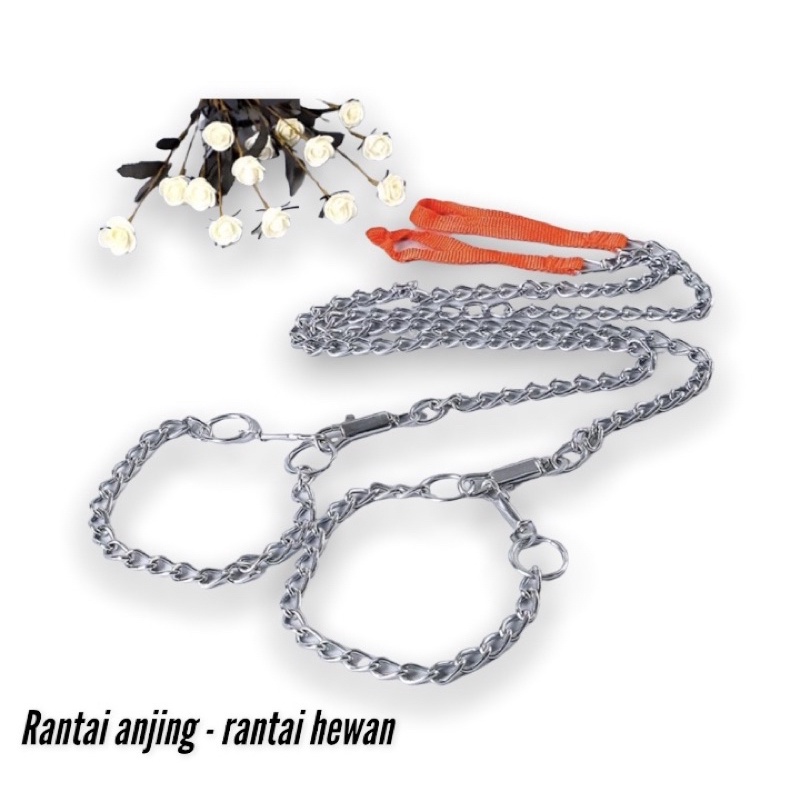 Rantai anjing ukuran 3.5mm 4mm - dog chain