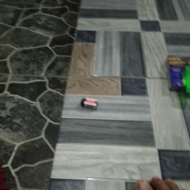 Bibit Buah Juwet Hitam