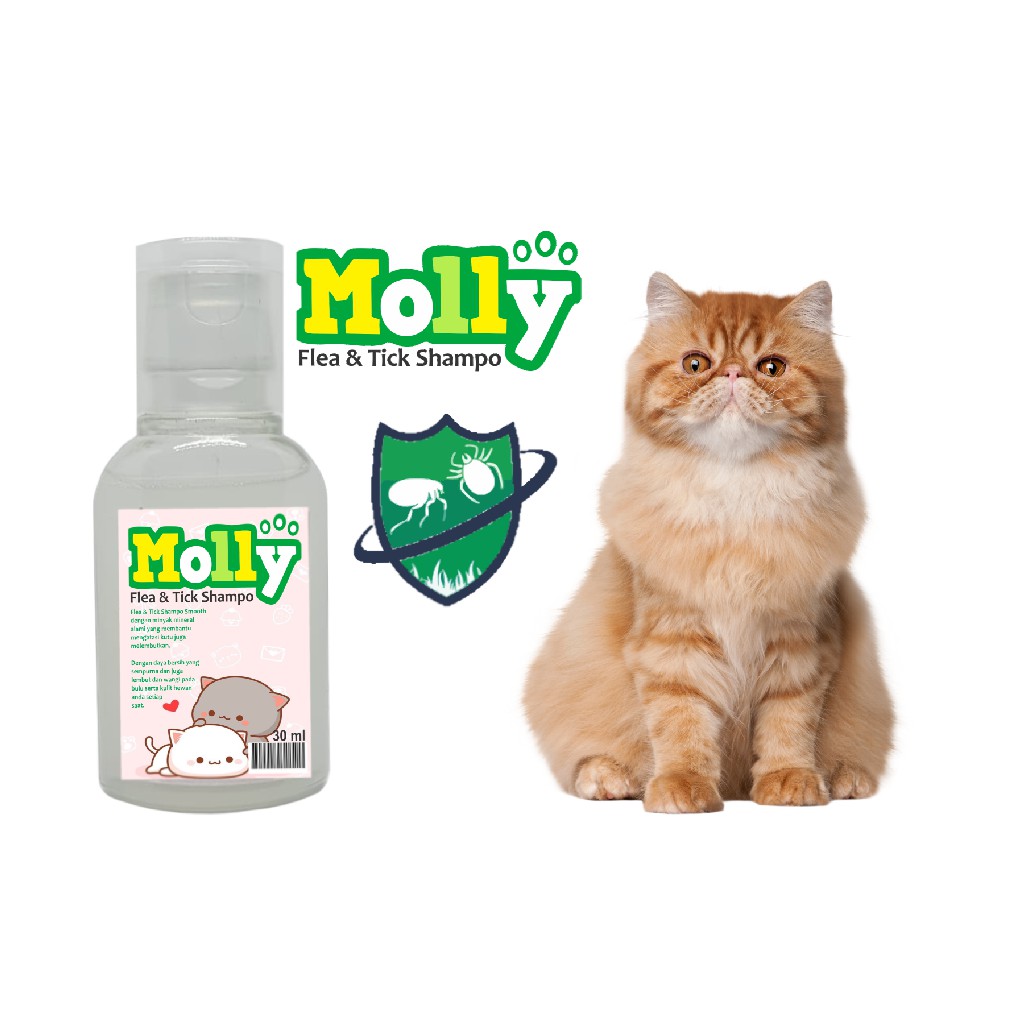 shampo kucing kutu dan jamur