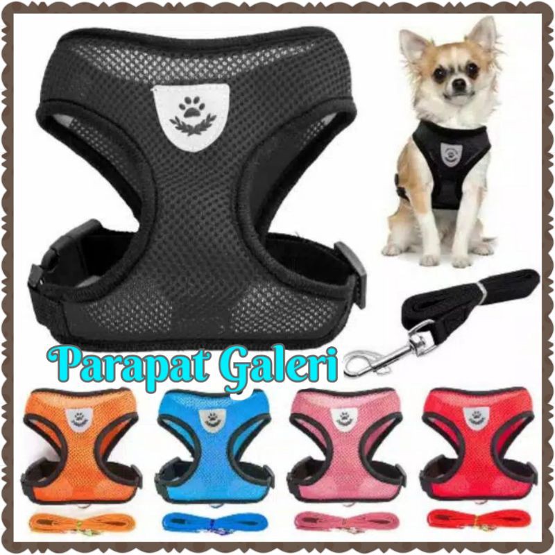 Harness Tali Tuntun Kucing - Rompi Anjing Kwalitas Import - 1 set