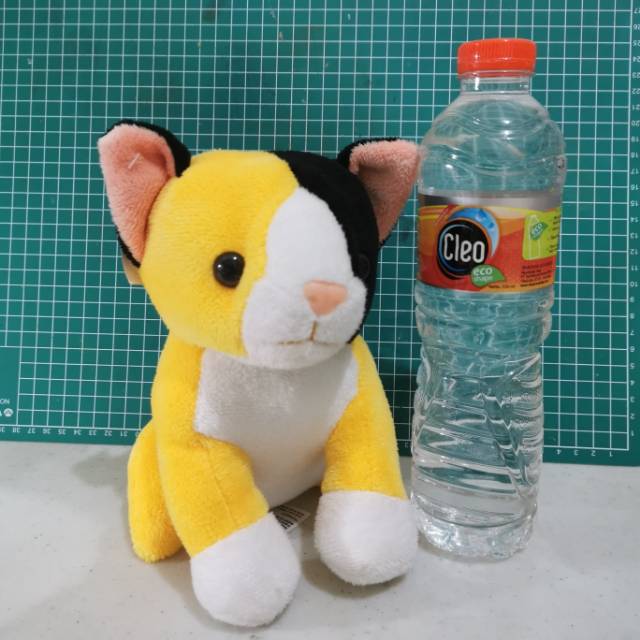 bomeka kucing kuning hitam putih