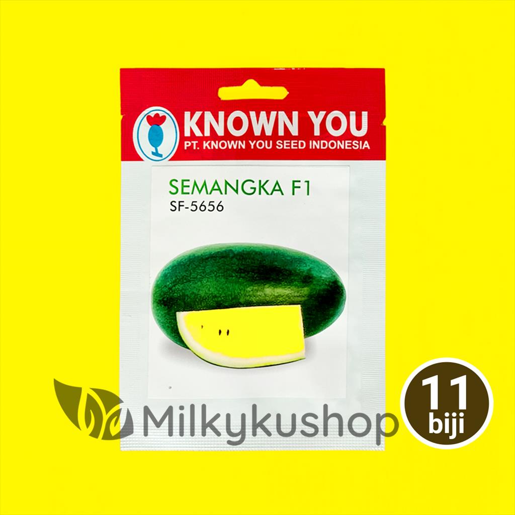 BENIH KYS KNOWN YOU SEED SEMANGKA F1 SF-5656 11 BIJI KP
