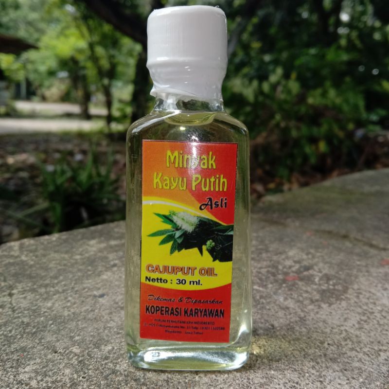 Minyak Kayu Putih  Asli Murni 100%